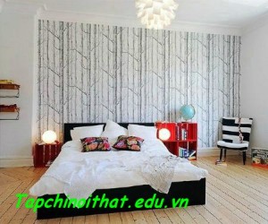 5_goi_y_trang_tri_tuong_cuc_de_thuc_hien_4