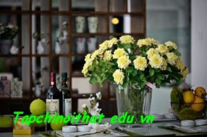 khong-gian-noi-that-5